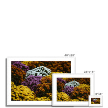 Load image into Gallery viewer, Framed &amp; Mounted Print
