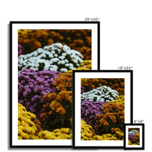 Load image into Gallery viewer, Framed &amp; Mounted Print
