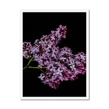 Load image into Gallery viewer, Framed Print
