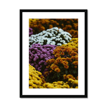 Load image into Gallery viewer, Framed &amp; Mounted Print
