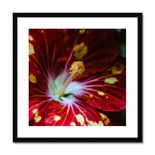 Load image into Gallery viewer, Framed &amp; Mounted Print
