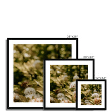 Load image into Gallery viewer, Framed &amp; Mounted Print
