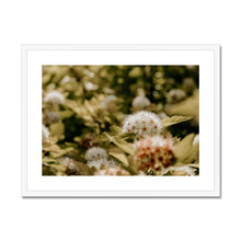 Carica l&#39;immagine nel visualizzatore di Gallery, Framed &amp; Mounted Print
