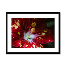 Load image into Gallery viewer, Framed &amp; Mounted Print
