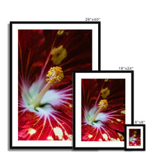 Load image into Gallery viewer, Framed &amp; Mounted Print
