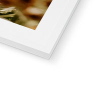 Load image into Gallery viewer, Framed &amp; Mounted Print
