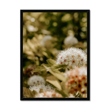 Carica l&#39;immagine nel visualizzatore di Gallery, Framed Print
