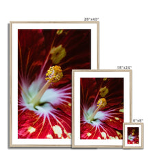 Load image into Gallery viewer, Framed &amp; Mounted Print
