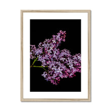 Load image into Gallery viewer, Framed &amp; Mounted Print
