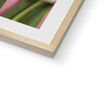 Load image into Gallery viewer, Framed &amp; Mounted Print
