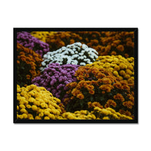 Load image into Gallery viewer, Framed Print
