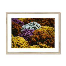 Carica l&#39;immagine nel visualizzatore di Gallery, Framed &amp; Mounted Print
