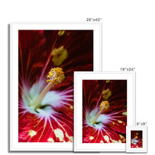 Load image into Gallery viewer, Framed &amp; Mounted Print
