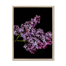 Load image into Gallery viewer, Framed Print
