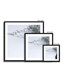 Load image into Gallery viewer, Framed &amp; Mounted Print
