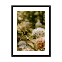 Load image into Gallery viewer, Framed &amp; Mounted Print
