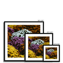 Load image into Gallery viewer, Framed &amp; Mounted Print
