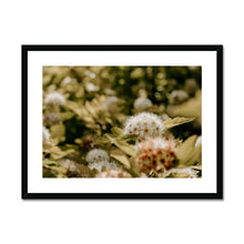 Load image into Gallery viewer, Framed &amp; Mounted Print
