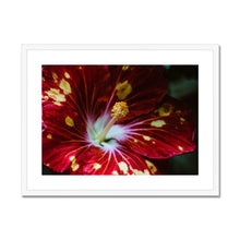 Load image into Gallery viewer, Framed &amp; Mounted Print
