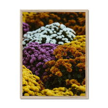 Carica l&#39;immagine nel visualizzatore di Gallery, Framed Print
