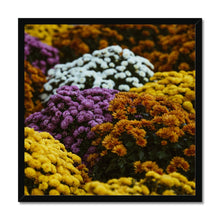 Carica l&#39;immagine nel visualizzatore di Gallery, Framed Print
