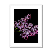 Load image into Gallery viewer, Framed &amp; Mounted Print
