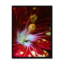 Load image into Gallery viewer, Framed Print
