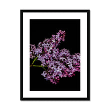 Carica l&#39;immagine nel visualizzatore di Gallery, Framed &amp; Mounted Print
