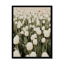 Carica l&#39;immagine nel visualizzatore di Gallery, Framed Print
