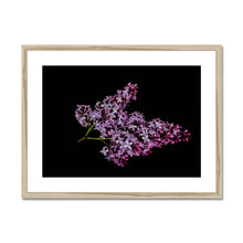 Load image into Gallery viewer, Framed &amp; Mounted Print
