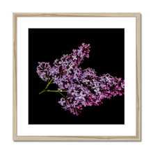 Load image into Gallery viewer, Framed &amp; Mounted Print
