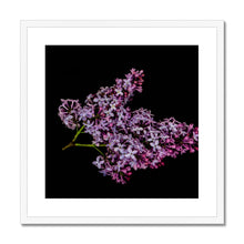 Carica l&#39;immagine nel visualizzatore di Gallery, Framed &amp; Mounted Print
