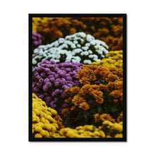 Carica l&#39;immagine nel visualizzatore di Gallery, Framed Print
