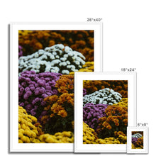 Load image into Gallery viewer, Framed &amp; Mounted Print
