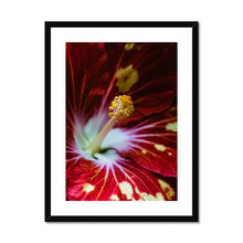 Load image into Gallery viewer, Framed &amp; Mounted Print
