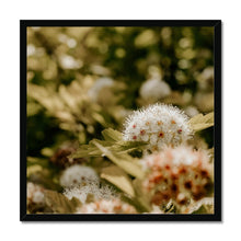 Load image into Gallery viewer, Framed Print
