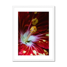 Load image into Gallery viewer, Framed &amp; Mounted Print
