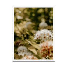 Load image into Gallery viewer, Framed Print
