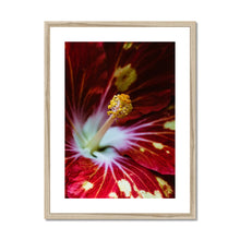 Carica l&#39;immagine nel visualizzatore di Gallery, Framed &amp; Mounted Print
