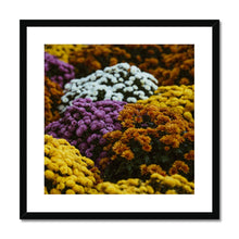 Load image into Gallery viewer, Framed &amp; Mounted Print
