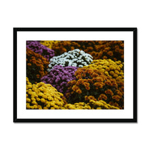 Load image into Gallery viewer, Framed &amp; Mounted Print
