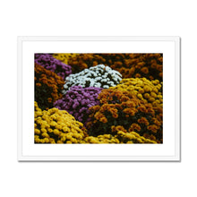 Load image into Gallery viewer, Framed &amp; Mounted Print
