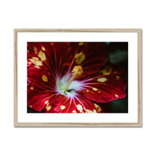 Load image into Gallery viewer, Framed &amp; Mounted Print
