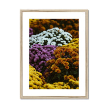 Încarcă imaginea în vizualizatorul Galerie, Framed &amp; Mounted Print
