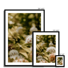 Carica l&#39;immagine nel visualizzatore di Gallery, Framed &amp; Mounted Print
