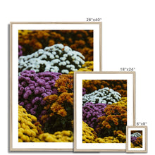 Load image into Gallery viewer, Framed &amp; Mounted Print
