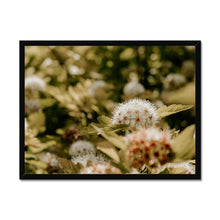 Load image into Gallery viewer, Framed Print
