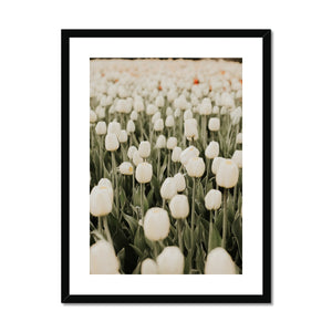 Framed & Mounted Print