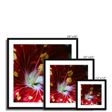 Load image into Gallery viewer, Framed &amp; Mounted Print
