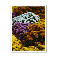 Load image into Gallery viewer, Framed Print
